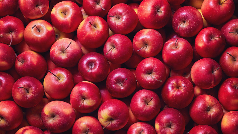 Садовод Самойлова посоветовала собирать поздние яблоки во время лёгких заморозков