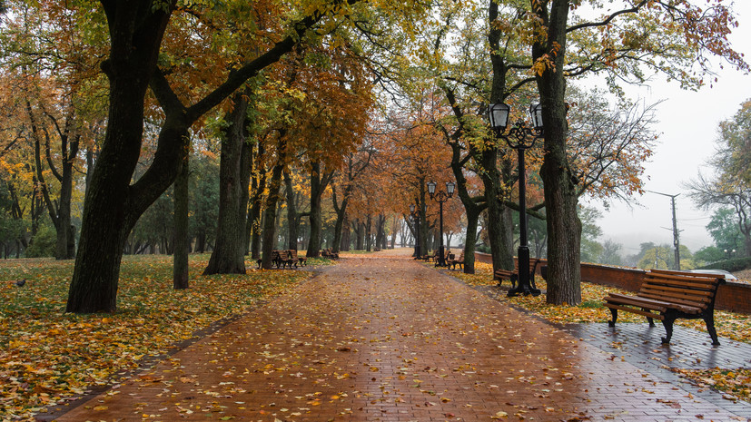 Психолог Гарифуллин: в туманную погоду пожилым лучше отказаться от прогулок