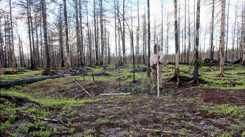 Новый археологический памятник на Ямале получил название «Городище Неросавэй»