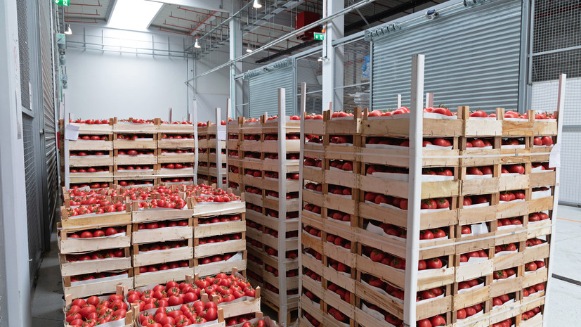 Названы перспективные направления для экспорта в Россию товаров из Таджикистана