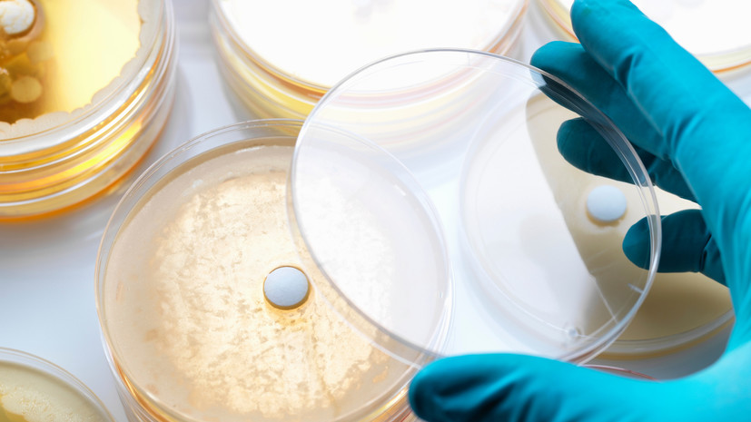 Инфекционист объяснил, в каких продуктах чаще всего размножается стафилококк