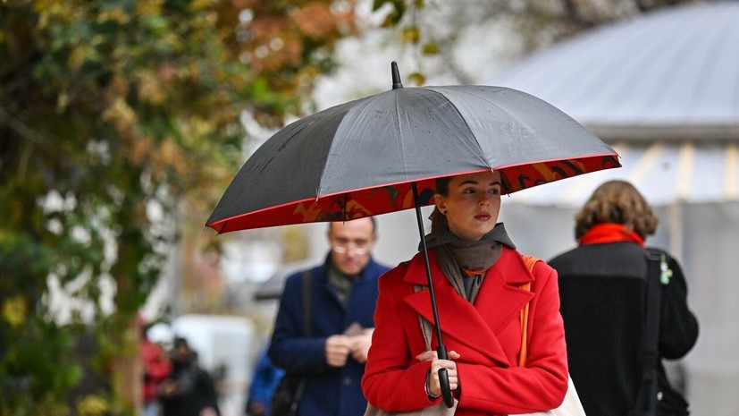 Синоптик Леус спрогнозировал пасмурную и дождливую погоду в Москве