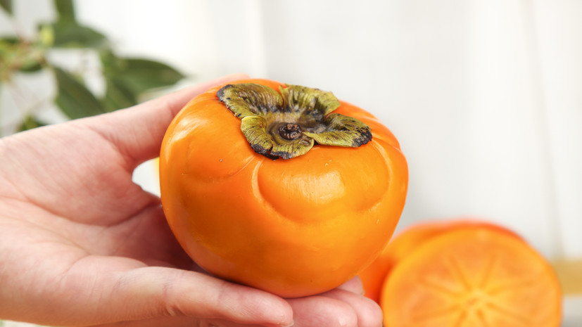 Агроном Косолапова дала советы по выращиванию хурмы дома