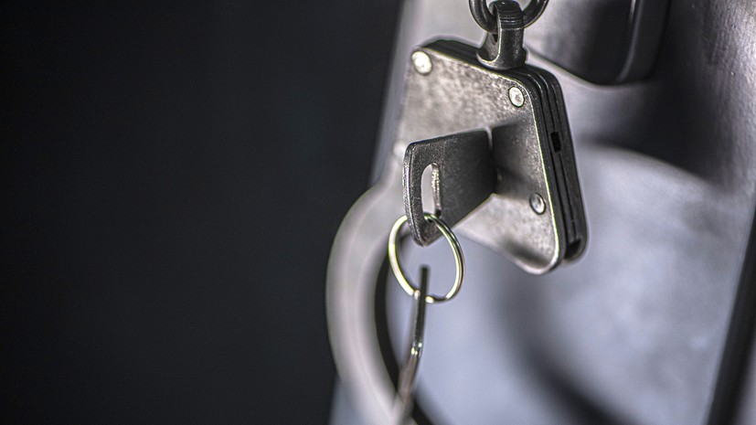 Политолог Янковский назвал «незаконным и бессмысленным» своё задержание в Польше