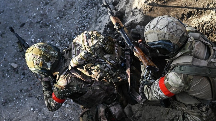 Боевой кот Вася сопровождает российских военных на передовой