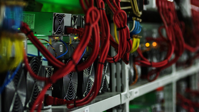 В Ленобласти пресекли работу причинившей ущерб на 1 млрд рублей майнинг-фермы