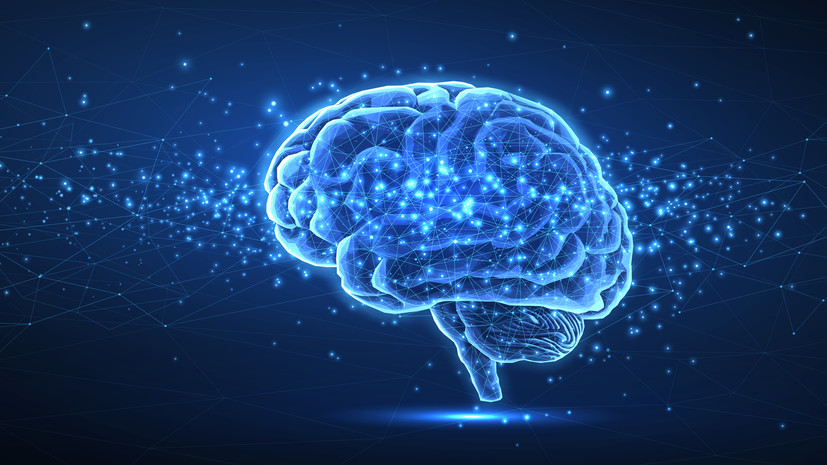 Генетик Чеботарёва рассказала об особенностях наследования интеллекта