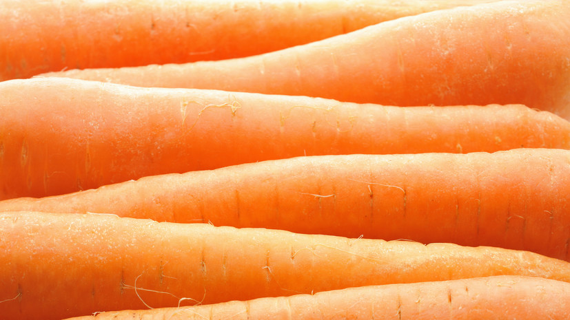 Офтальмолог Петухова назвала морковь полезной для зрения