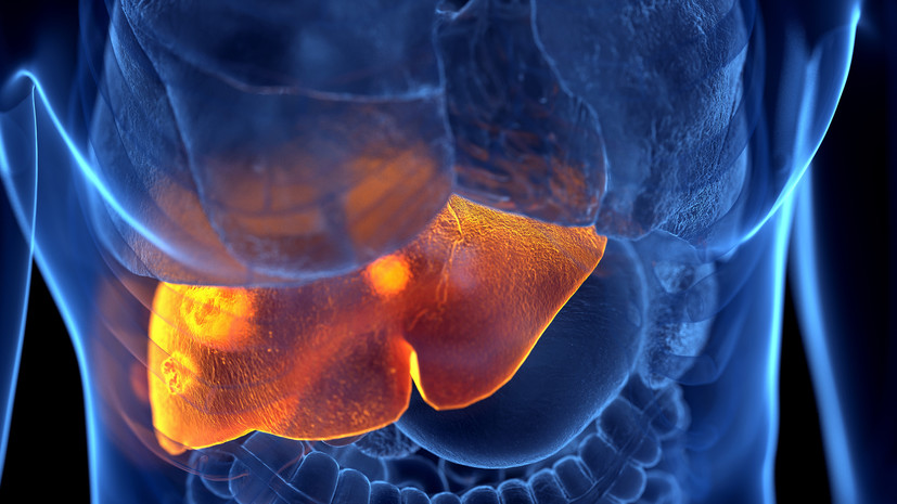 Врач Кашух: вирусный гепатит способен вызывать хроническое воспаление печени