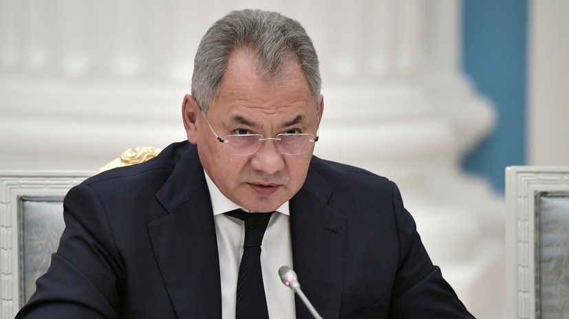 Шойгу: Путин поддержал идею о привлечении добровольцев к защите важных объектов