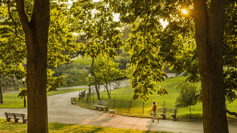 В Подмосковье будет благоустроено 76 общественных пространств до конца года