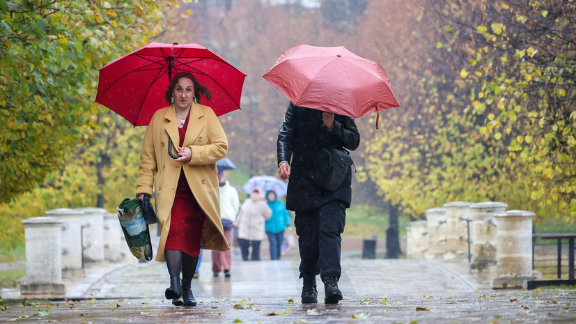 «Осень продолжит стоять на своём и в начале ноября»: синоптики предупредили москвичей о затяжных дождях