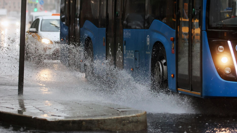 Синоптик Позднякова: в пятницу в Москве можно ожидать много дождя