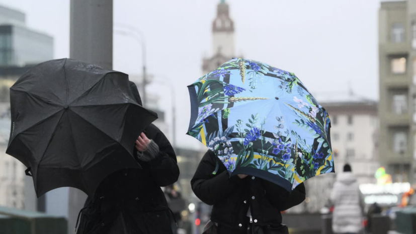 Синоптик Ильин: в пятницу в Москве может выпасть до 10 мм осадков