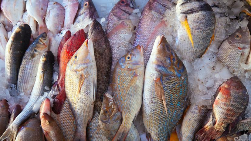 Миронов предложил установить день скидок 50% на рыбу в магазинах