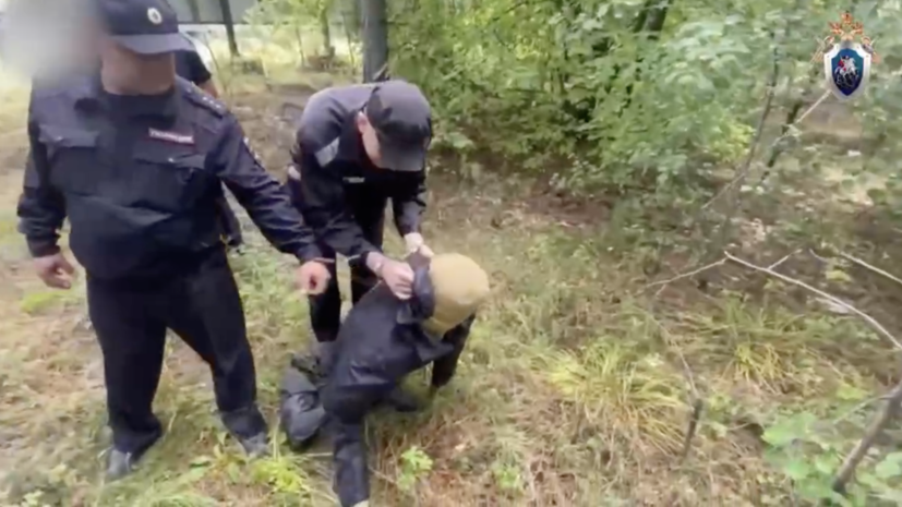 СК: число жертв ангарского маньяка Попкова достигло 91