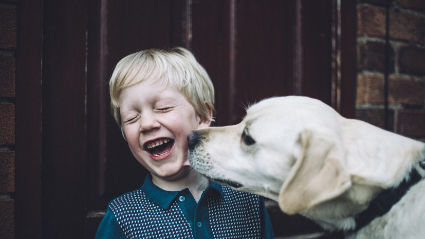 Кинолог Голубев: не все особенности характера собаки нужно корректировать