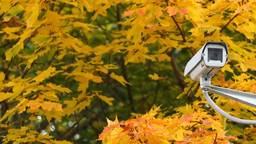 В России предложили ввести ответственность за незаконные штрафы с дорожных камер