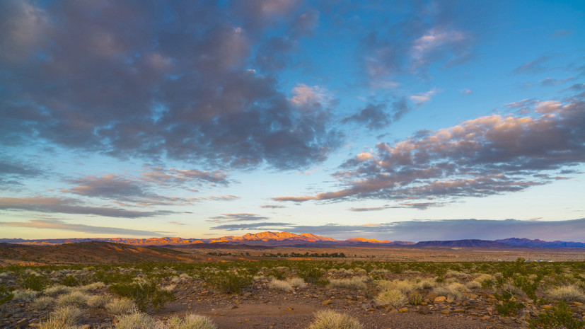 Sun: в пустыне Невады нашли более 300 человеческих останков