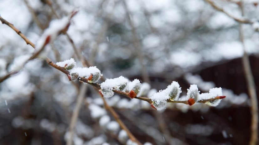 Вильфанд: температура упадёт на 15 °С всего за 2—3 дня в семи регионах России