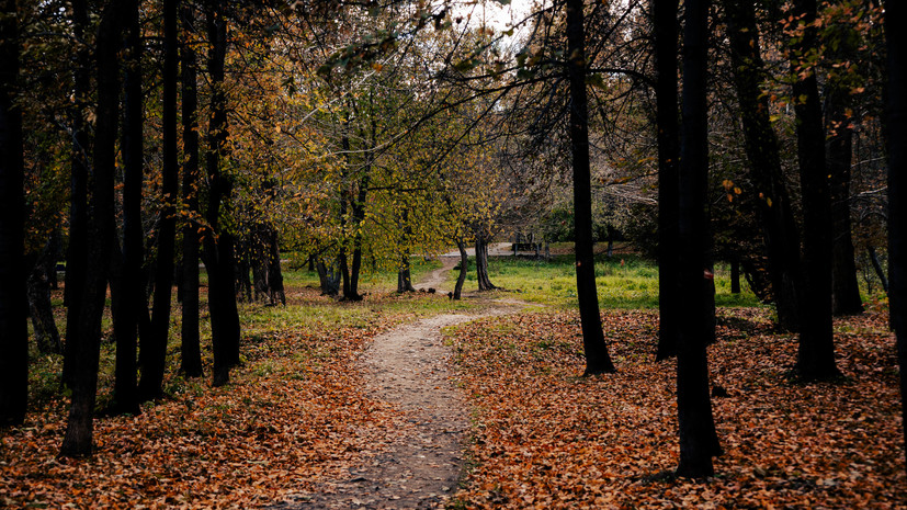 Грудень, бездорожник, курятник: как называли ноябрь и что значил этот месяц на Руси