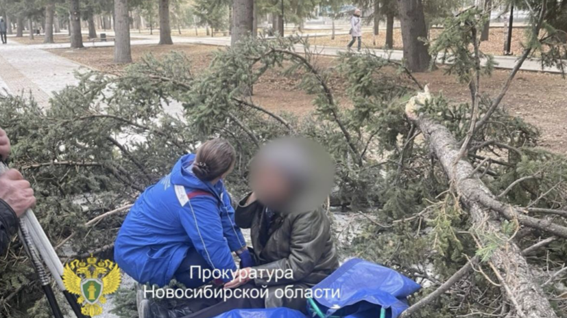 В Новосибирске дерево упало на пожилую пару из-за сильного ветра