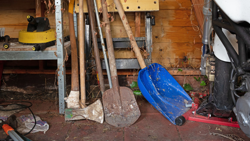 Садовод Самойлова: в ноябре важно подготовить инвентарь к зиме