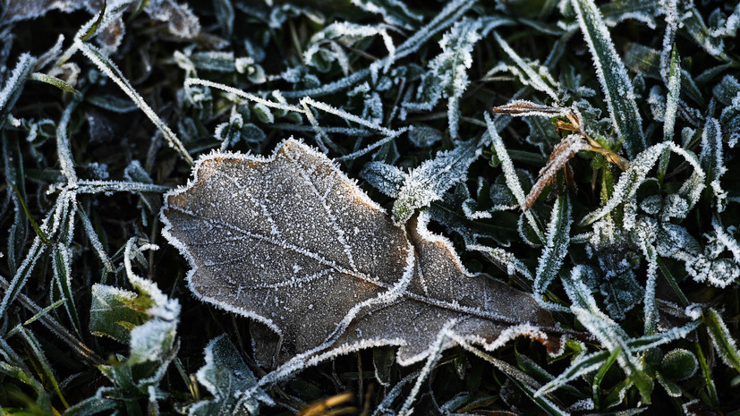 Вильфанд: в нескольких районах России уже ожидаются трескучие морозы