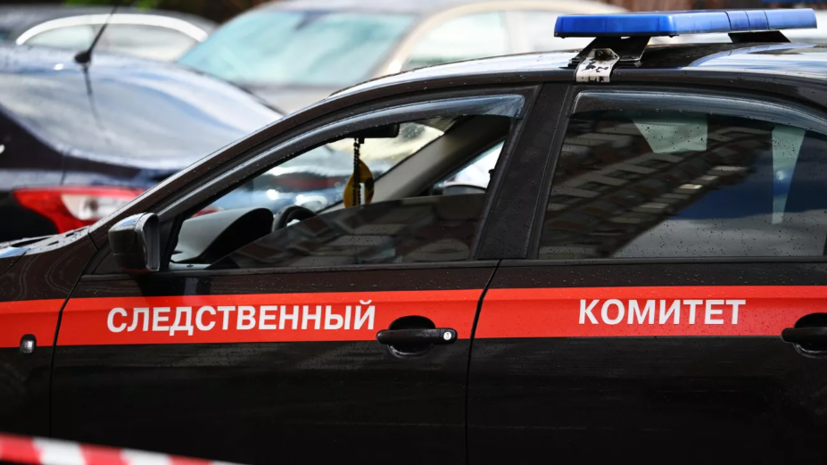 В Омске лишённая родительских прав женщина похитила проживавшего с бабушкой сына