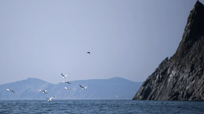 Автор проекта тоннеля между Чукоткой и Аляской оценил его в $15 млрд