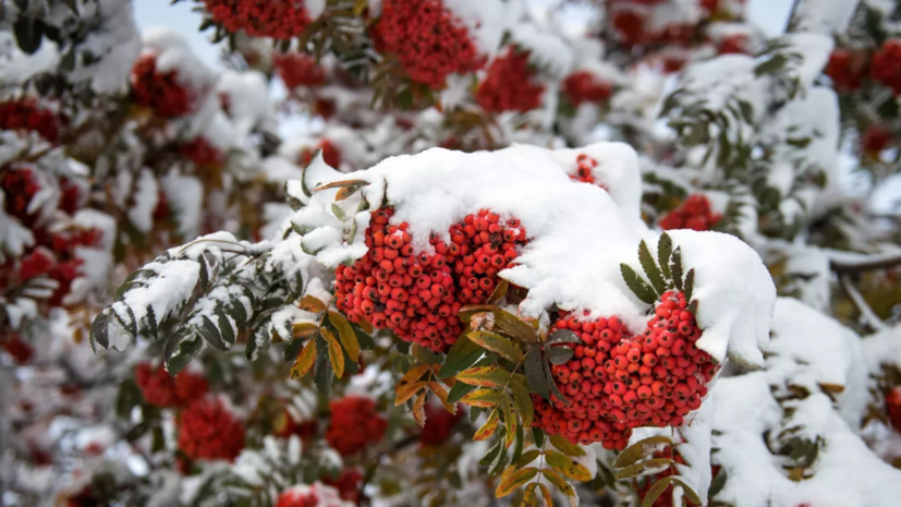 Синоптик Шувалов: во вторник в Москве возможен снег