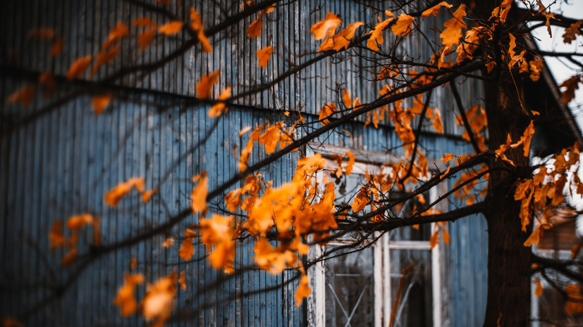 В Союзе дачников Подмосковья посоветовали учитывать наличие медпункта при покупке дачи