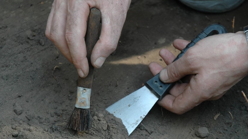 В Крыму рассказали о ходе поиска останков казнённых в годы войны красноармейцев