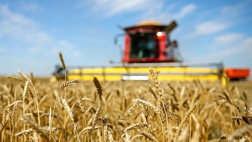 Минтранс: Россия поставила Армении более 1 тысячи тонн пшеницы через Азербайджан