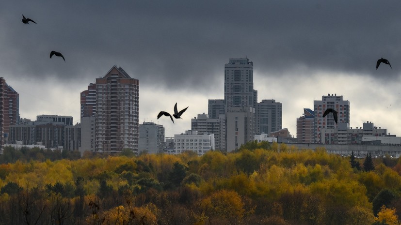 Последние аномально тёплые выходные: синоптики рассказали, когда в Московском регионе выпадет первый снег Последние аномально тёплые выходные: синоптики рассказали, когда в Московском регионе выпадет первый снег