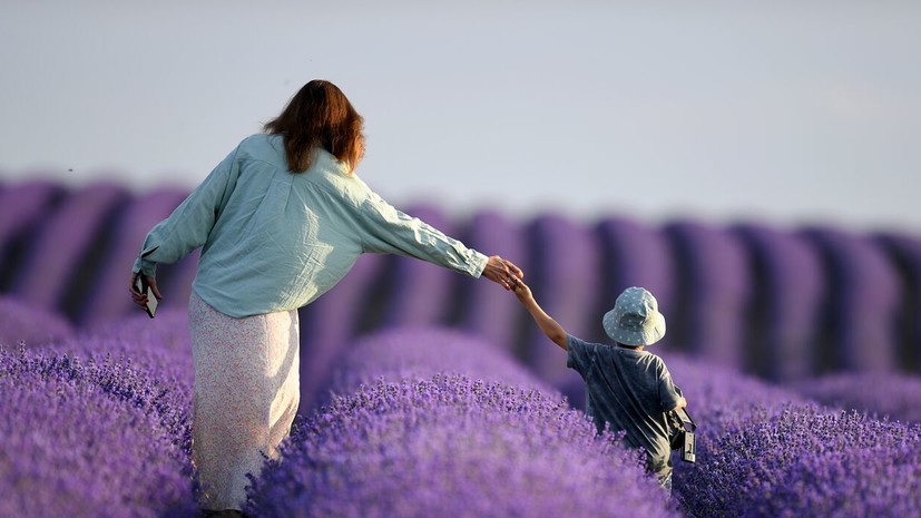 В регионах России пройдёт пилот по учёту оборотов по счетам для единого пособия