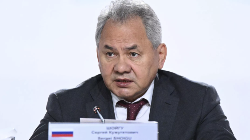 Шойгу заявил о необходимости «сибиризации» России
