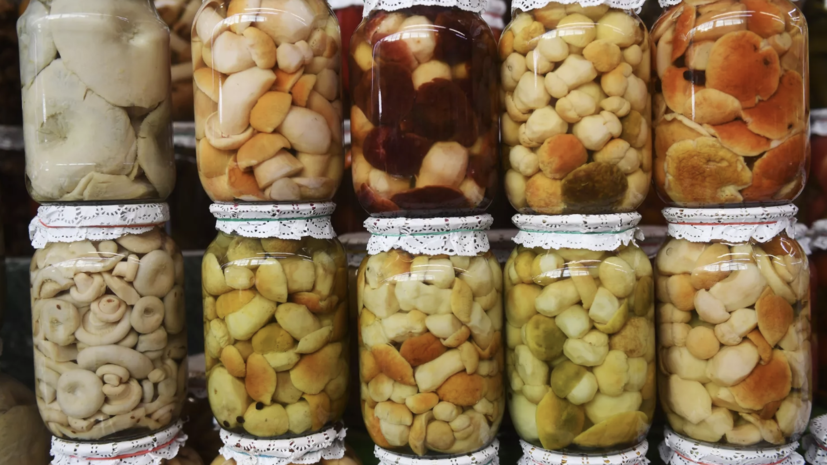 Диетолог Соломатина посоветовала несколько раз выварить грибы до консервации