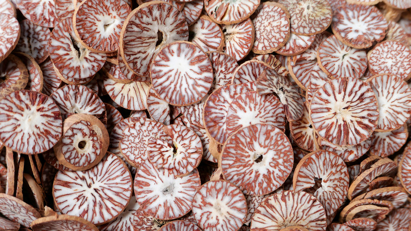 У подростков риски многократно возрастают: почему в России требуют запретить бетельный орех