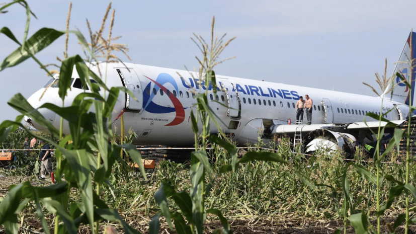 МАК опубликовал финальный отчёт о посадке Airbus в кукурузном поле в 2019 году