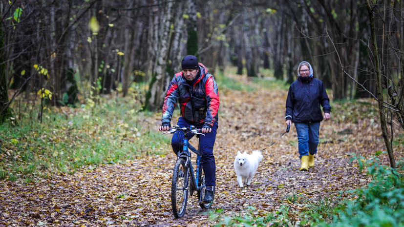 Психолог Абравитова посоветовала мотивировать себя на прогулку в холодную погоду