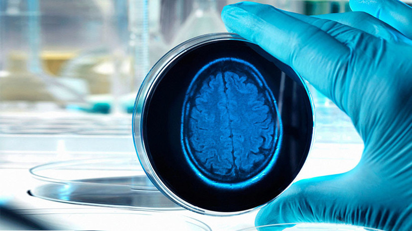 Гематолог: основой CAR-T-терапии является перенос здоровых стволовых клеток