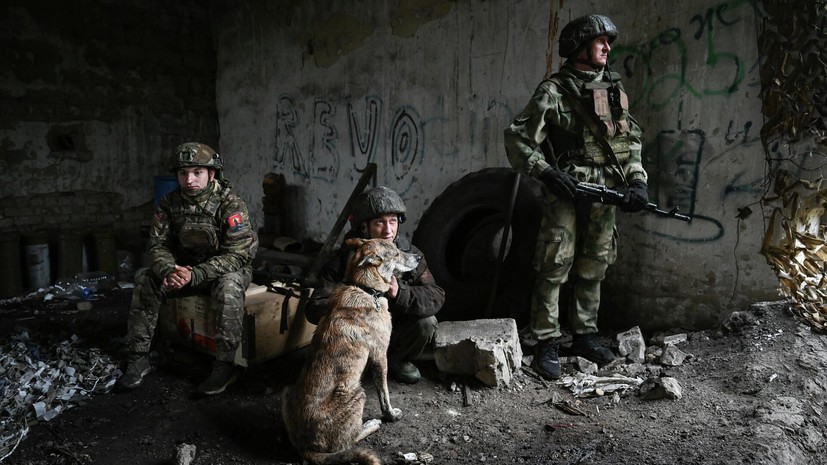 Боец рассказал, что по поведению собаки можно узнать о готовящемся обстреле