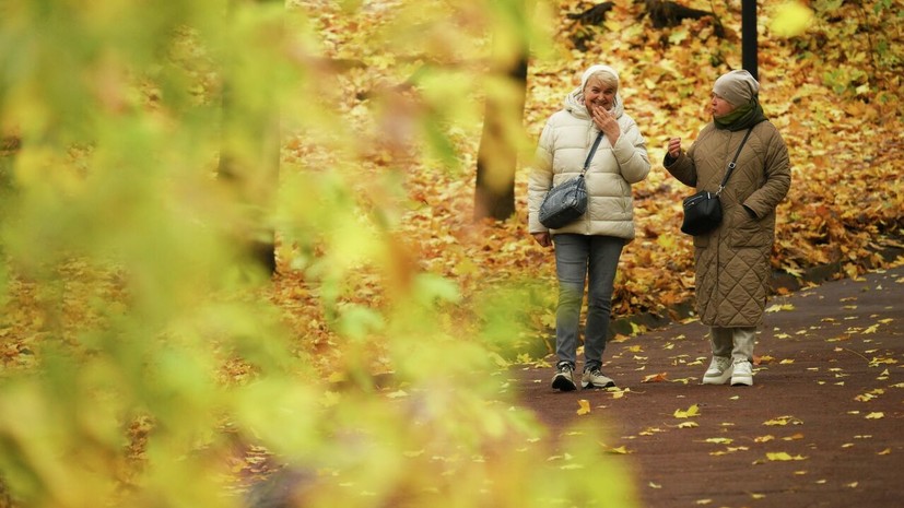 Вильфанд рассказал, что середина ноября в Москве будет тёплой