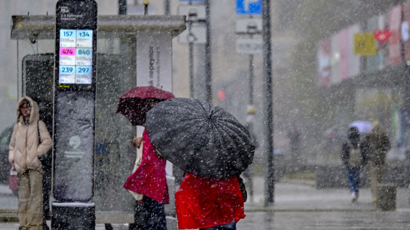 Вильфанд: европейская часть России в середине ноября останется без снега