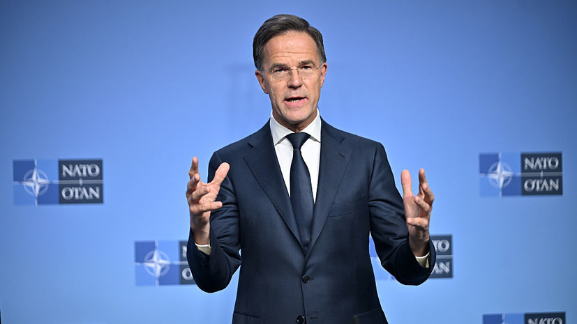 Пушков заявил, что Рютте наплевать на избирателей и судьбы европейцев