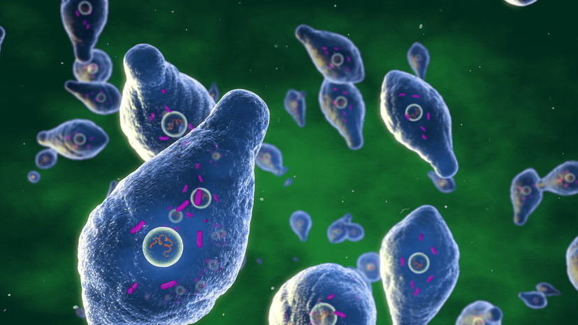 Инфекционист Жемчугов: ботулизм вызывают анаэробный микроб и его токсин