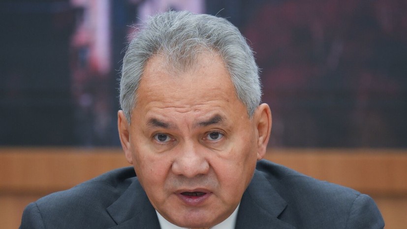 Шойгу прибыл в Египет для переговоров с руководством страны