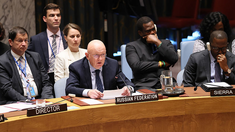 Небензя: ООН слишком обросла жиром, но голодный паёк не поможет