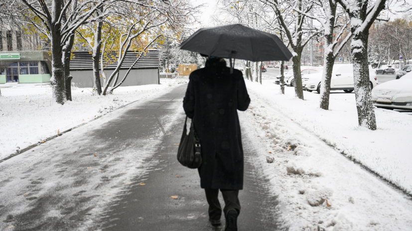 Синоптик Тишковец спрогнозировал снег в Москве в выходные